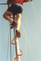 [Immagine: 201141805327_hurst_3.jpg]